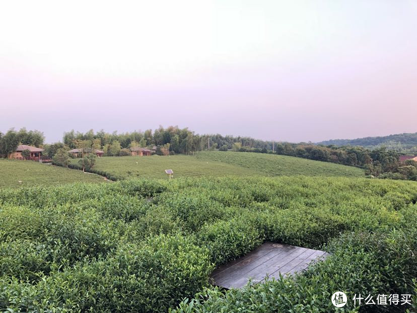 周末亲子好去处_长兴开元芳草地乡村酒店的正确打开方式