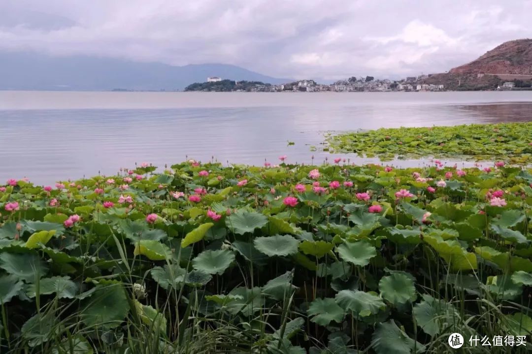 大理印象：没有《天龙八部》的快意恩仇，只有苍山洱海的风花雪月