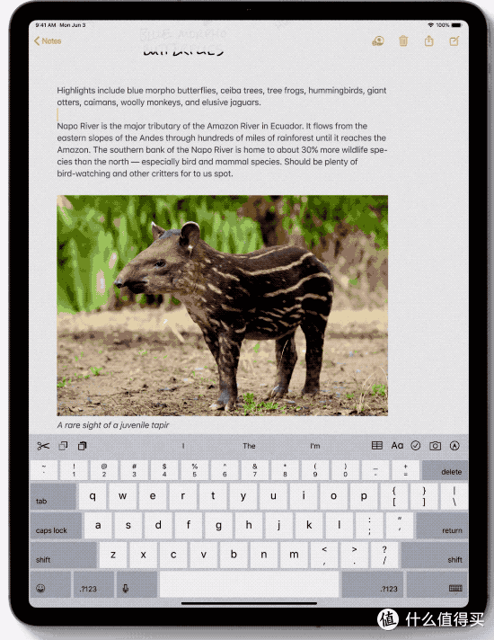 升级 iPadOS 之前，你需要知道的10件超级事项。