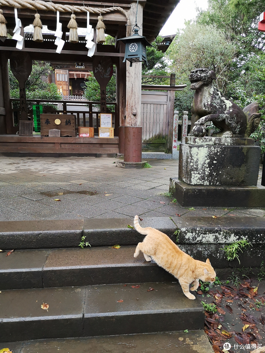 东京、箱根、镰仓自由行（下）