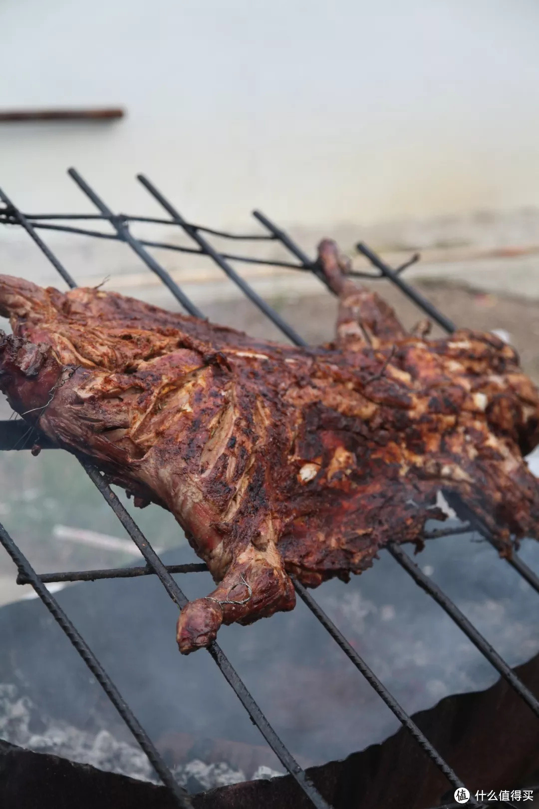 中国到底哪里的羊肉最好吃？