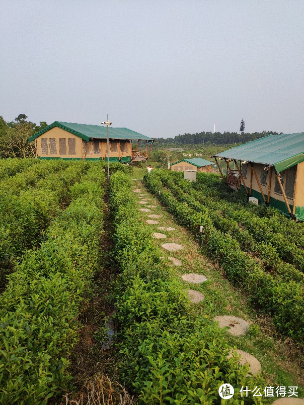 拖娃游记:中秋节金坛茅山宝盛园两日游