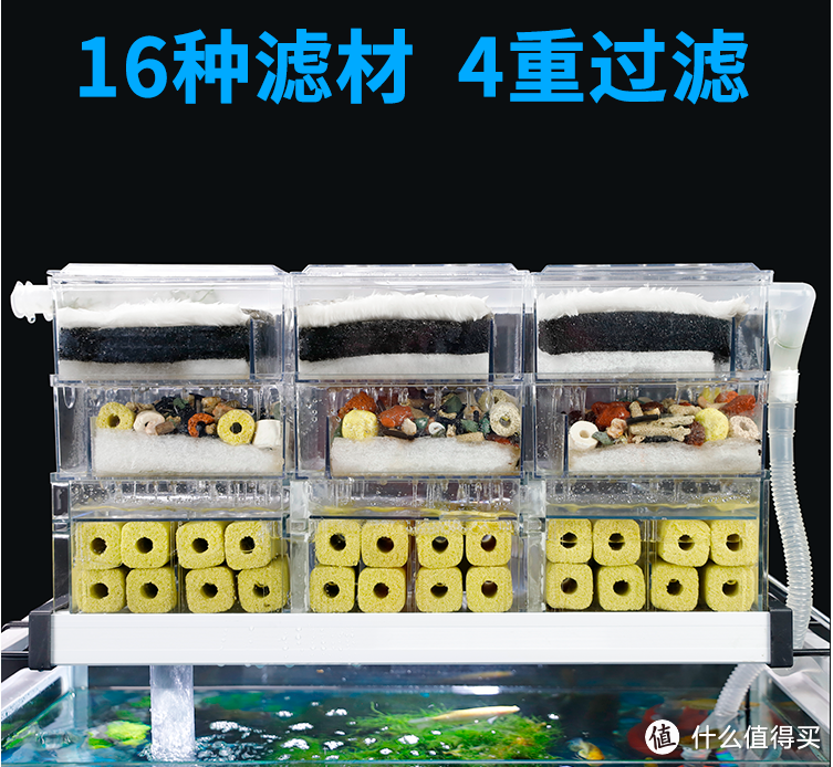 除了不方便陪你逛街,别的都很好——水族类宠物饲养漫谈