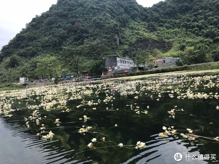 今天和大哥跑的地方，会开花的河