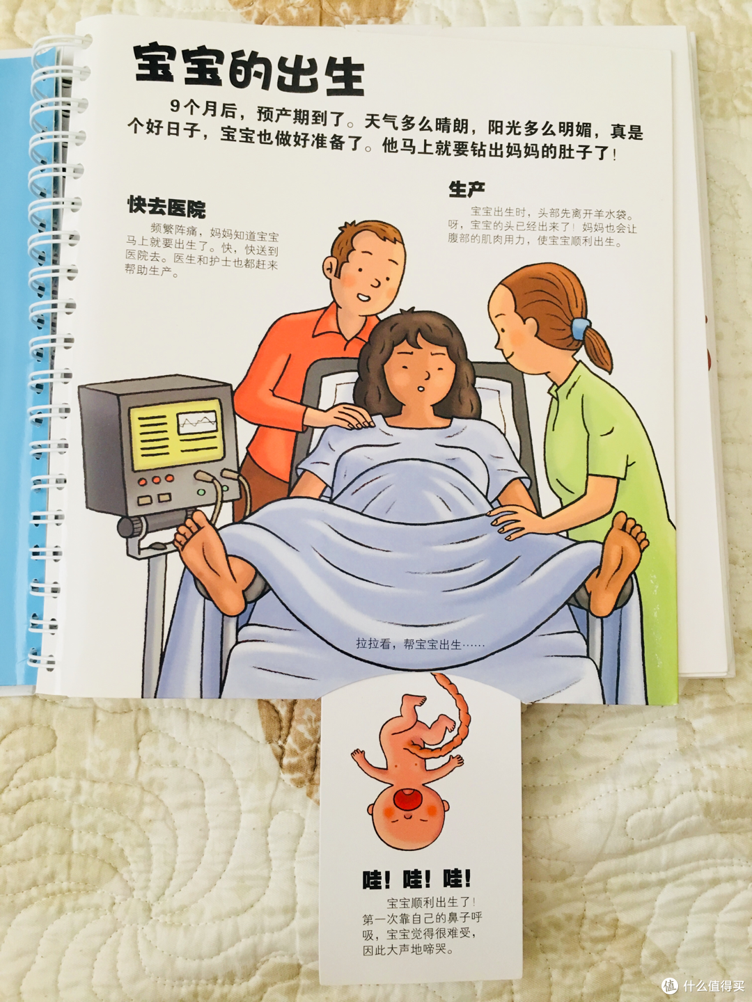 游戏中学习的绘本-我们的身体&谁藏起来了