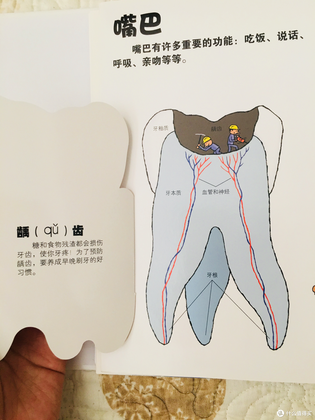 游戏中学习的绘本-我们的身体&谁藏起来了