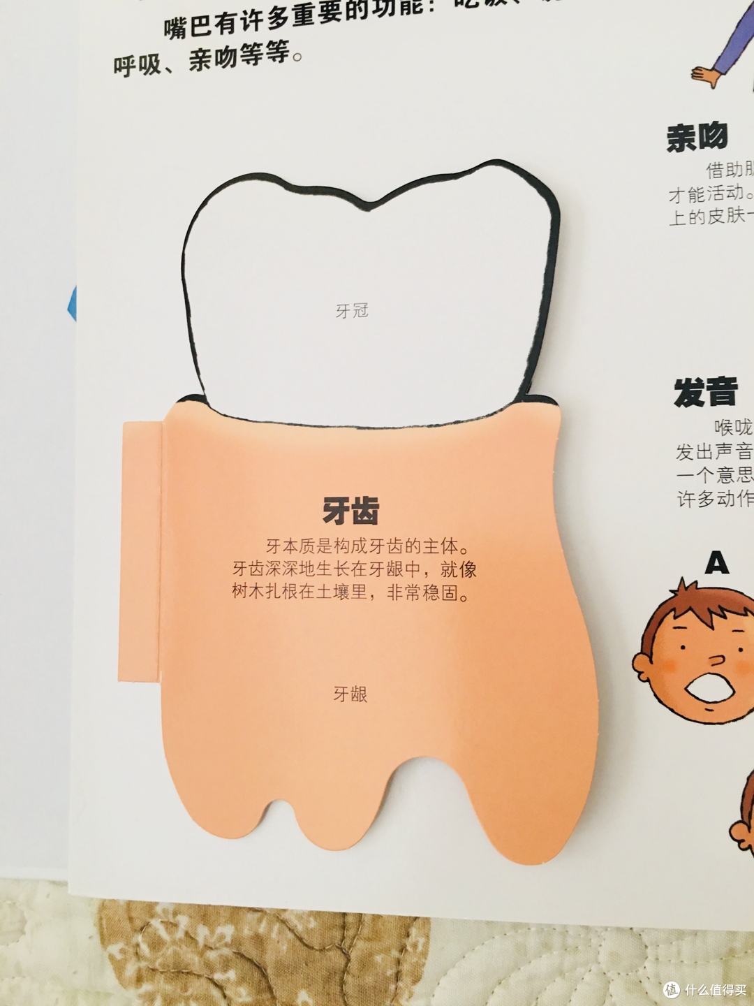 游戏中学习的绘本-我们的身体&谁藏起来了