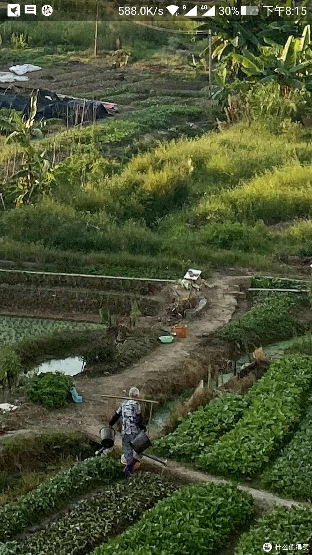 局部细节