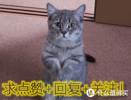 水管断墙里?花洒出水孔位置低想移位?埋坑警示及换件操作过程分享