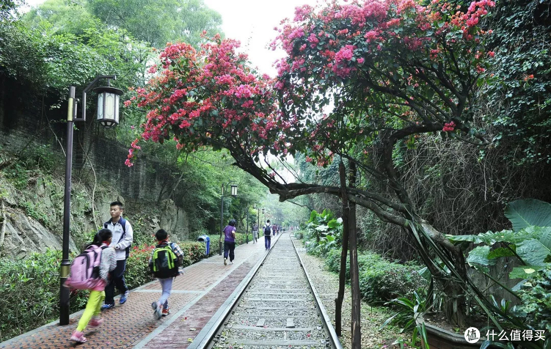 这篇厦门吃喝玩乐攻略，和你之前看过的不一样