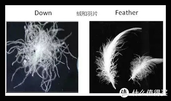 睡袋那些事||羽绒睡袋 VS 棉睡袋