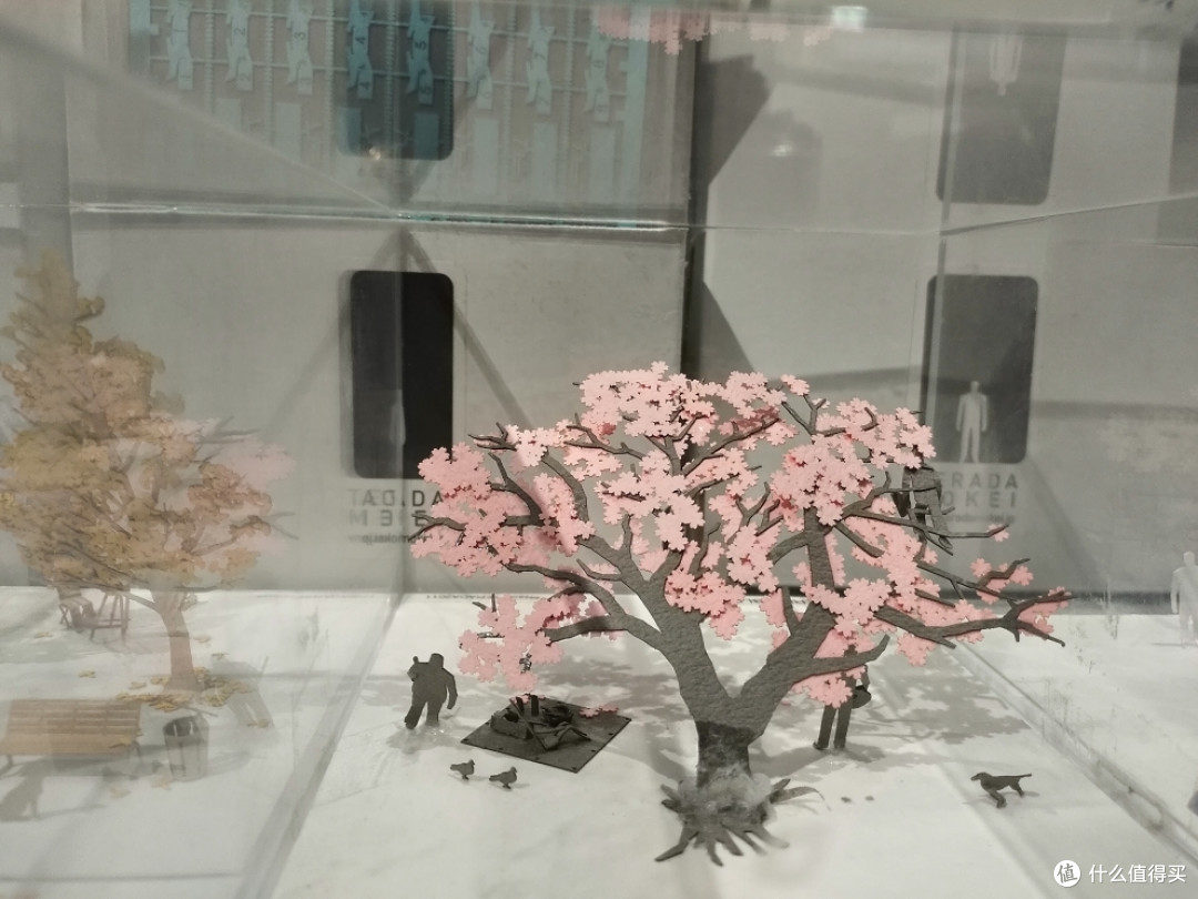 我不游泳 只是躺着看海:阿那亚再游记