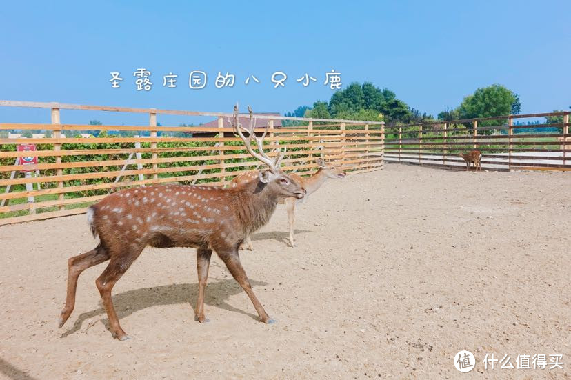 秋天就是要去野餐呀！✨准备攻略📷拍照指南