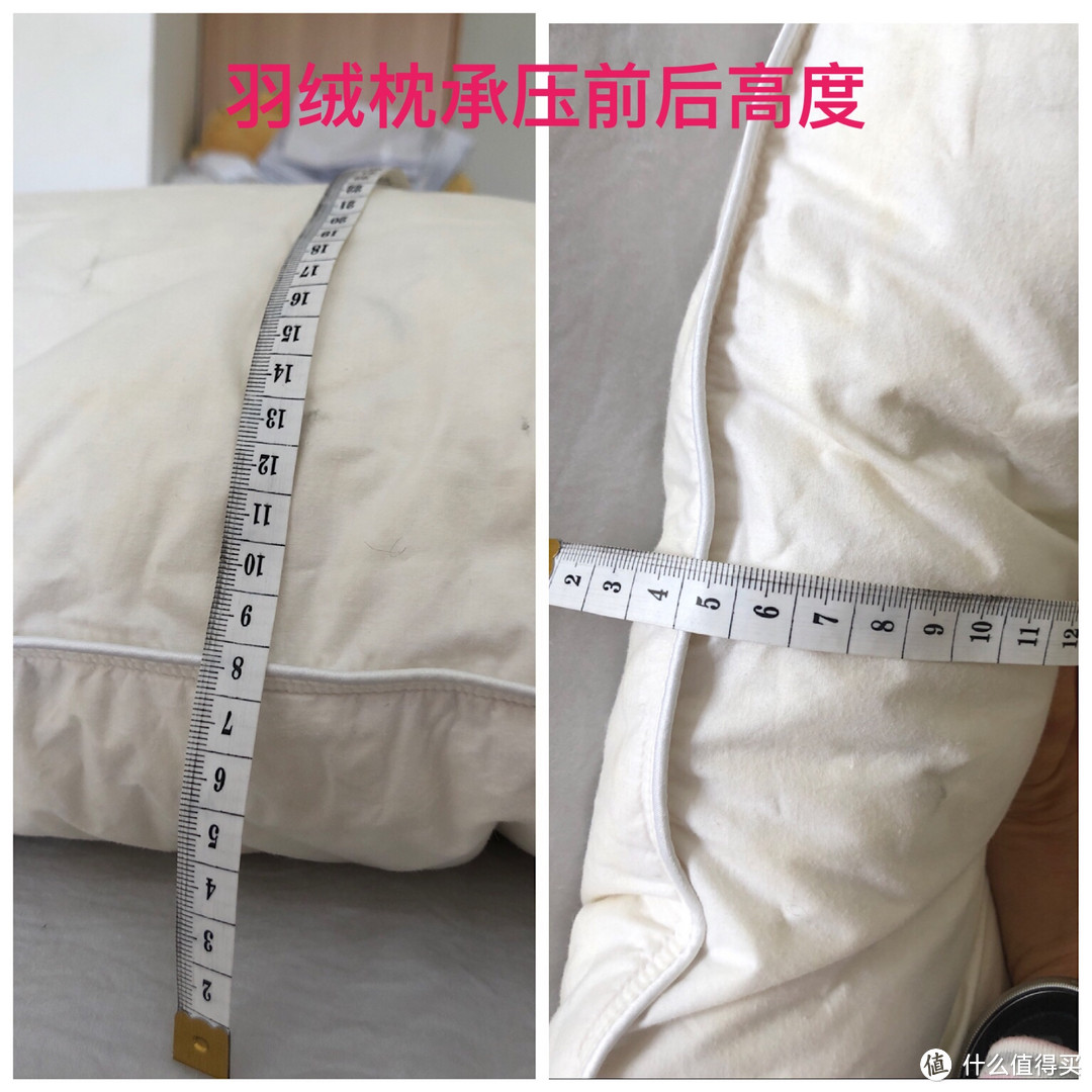 软管枕，还是“硬核”枕？有人开心得跳起来——菠萝斑马软管颈乐枕实用测评