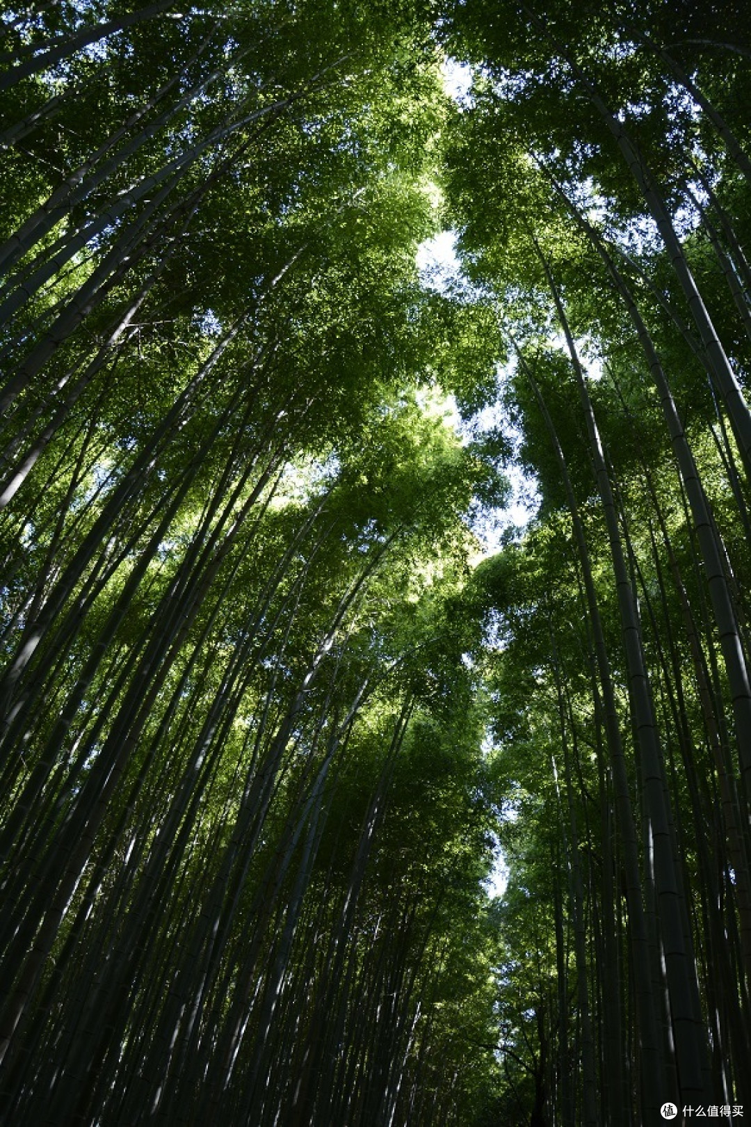 日本零零散散的游玩(二)
