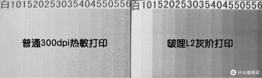 更宽更清晰的啵哩小鸟打印机，妈妈再也不用担心我的学习~