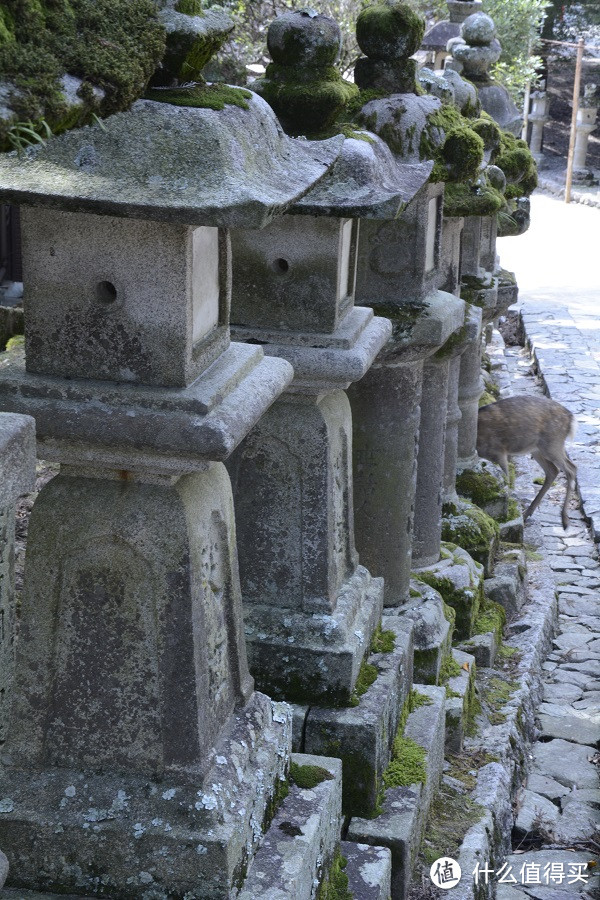 日本零零散散的游玩（四）