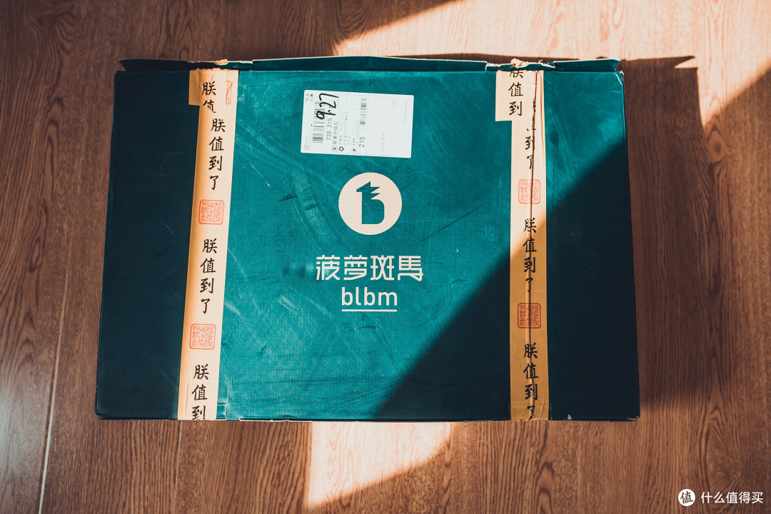 10 级颈椎病患者的救赎 - 菠萝斑马 tpeQ 弹珍珠版软管枕