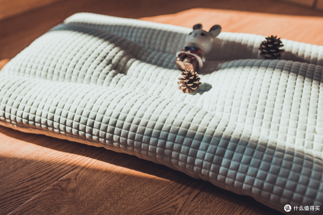 10级颈椎病患者的救赎菠萝斑马tpeq弹珍珠版软管枕