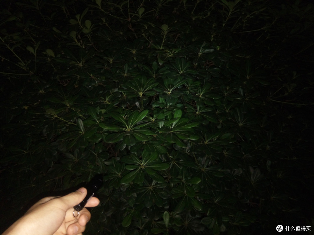 回家路上的一抹灯光,纳丽德K11迷你随身手电体验