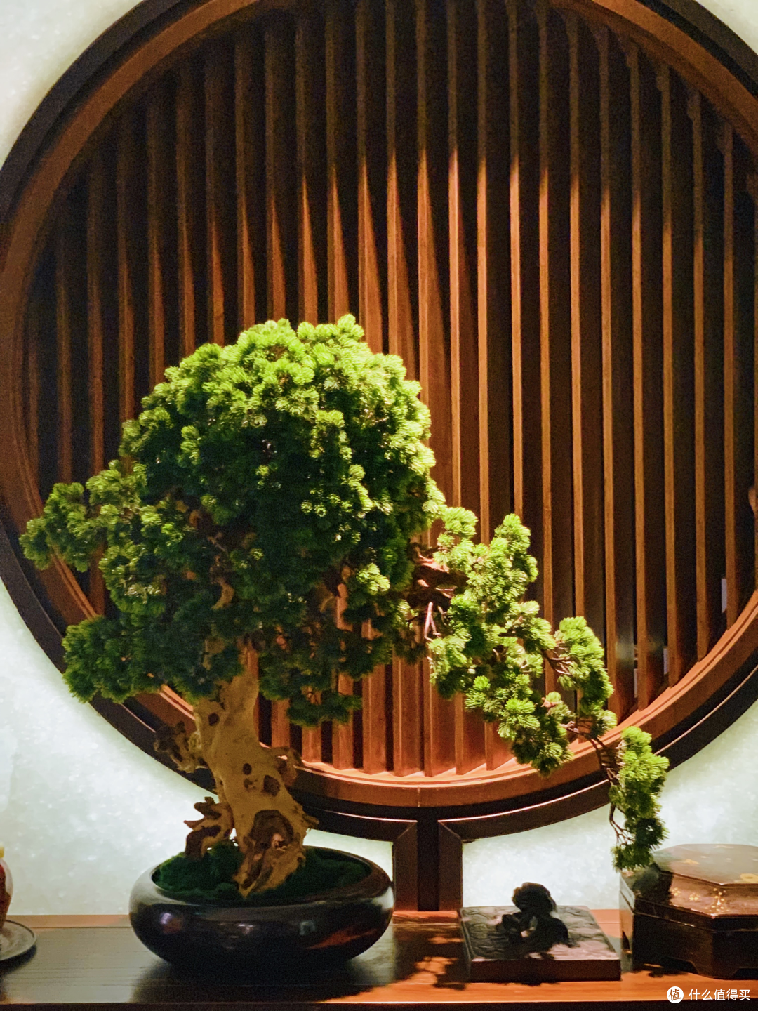 湖南人在北京——北京湘菜篇(一)