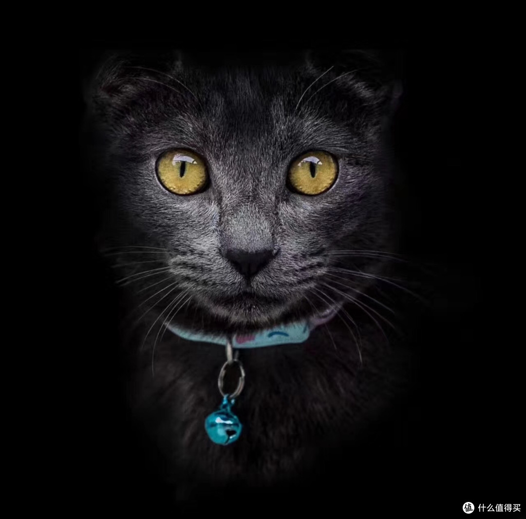评测：千元级和万元级的猫实际使用体验如何？