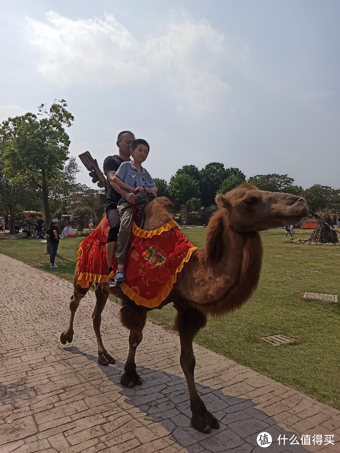 江苏镇江句容边上南京三国村（国庆冷门景点出行）冷门中的冷门连车都打不到