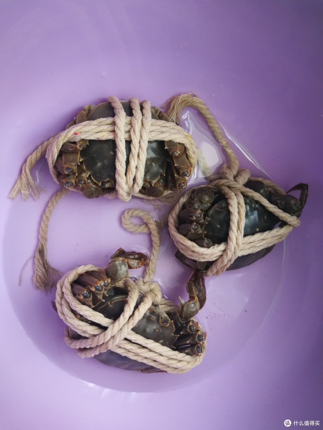 158元网购了12只大闸蟹,到底值不值?