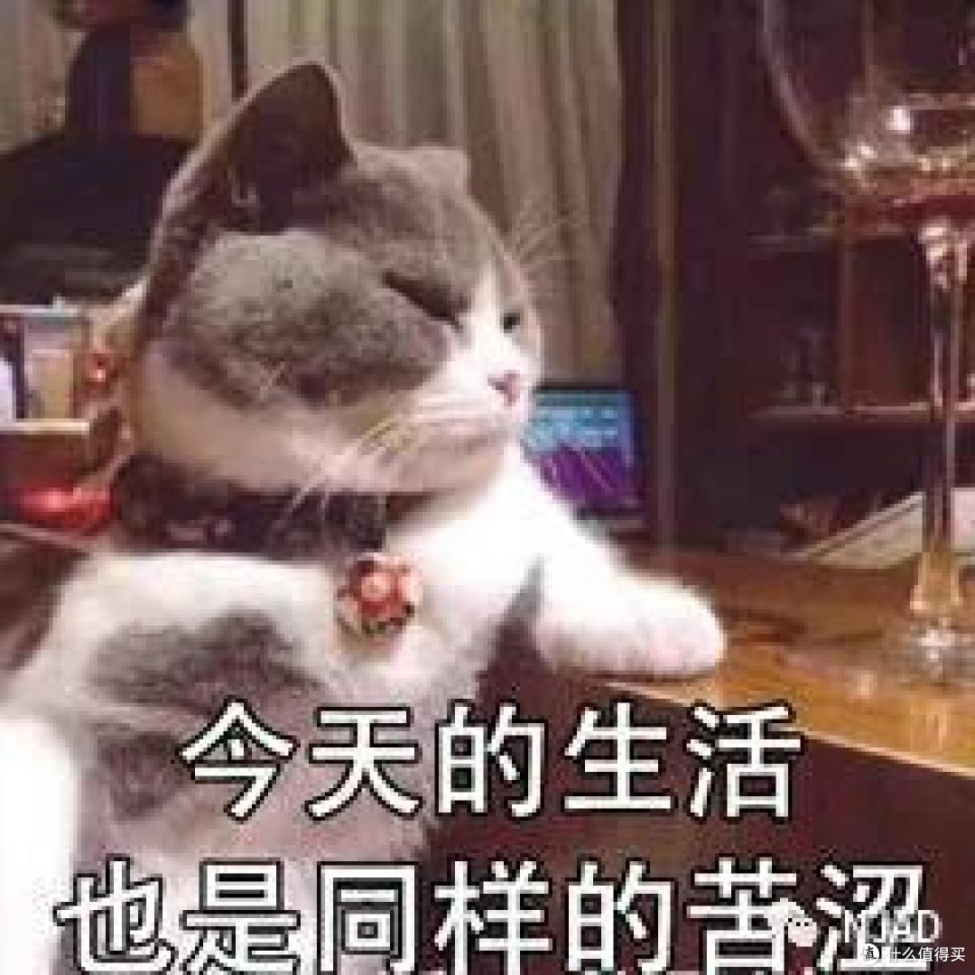 抖鱼的图书馆荐酒-起笔篇