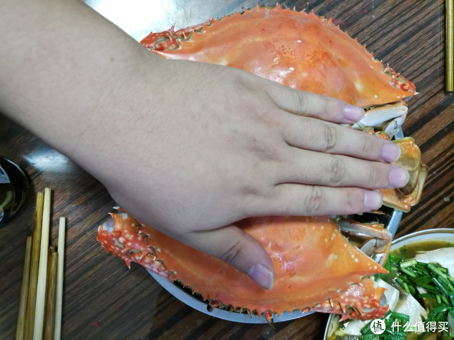 河海争霸，中外PK——大闸蟹梭子蟹和面包蟹，到底哪个吃着爽