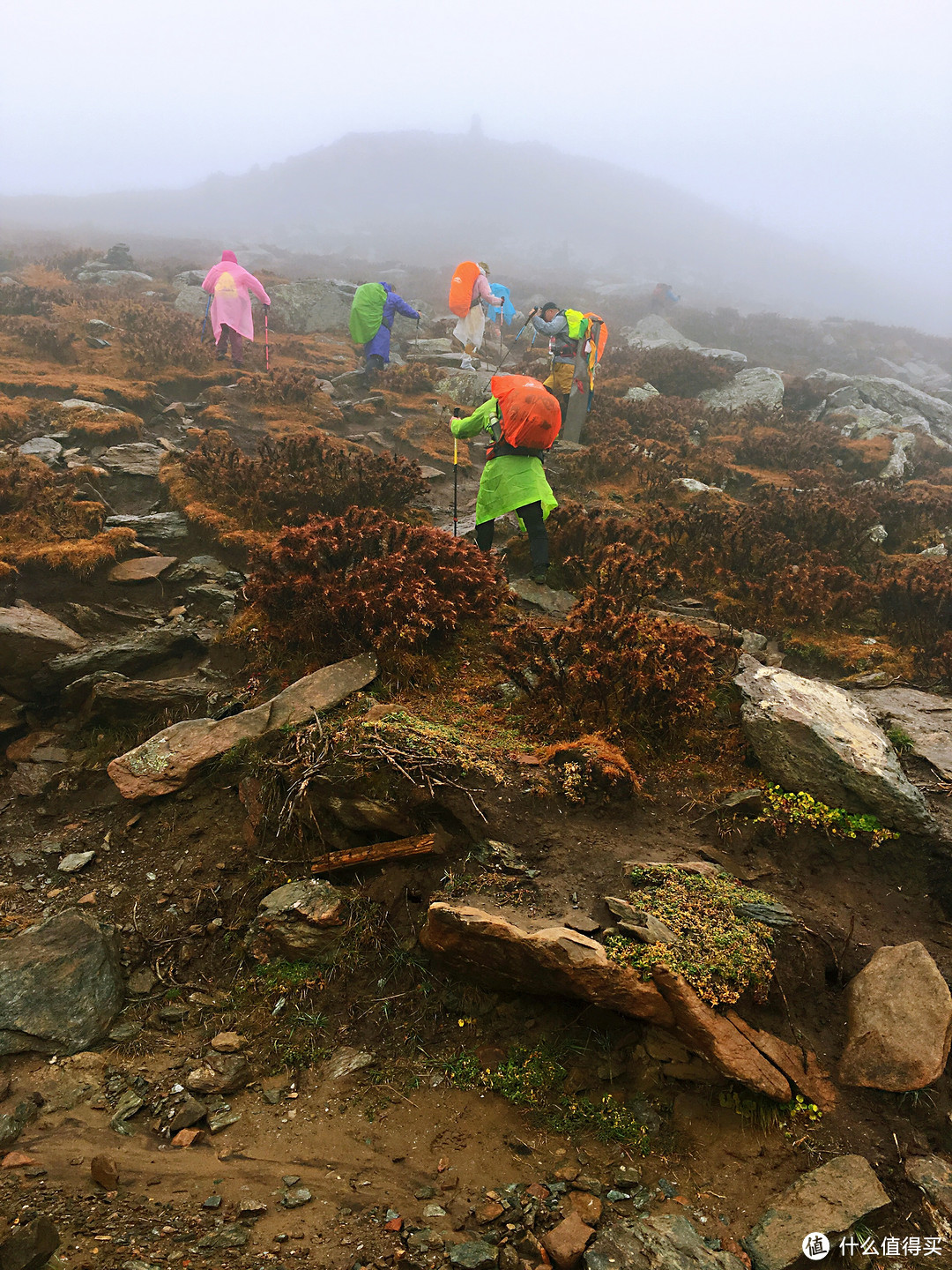 登山纯小白，徒步大朝台——行程篇