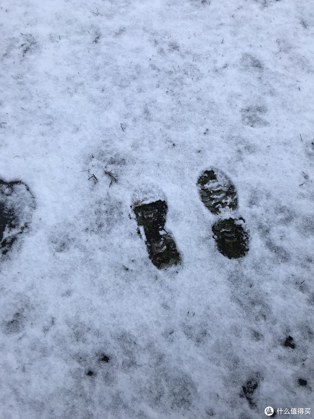 踩在下完雪的地上飒飒作响