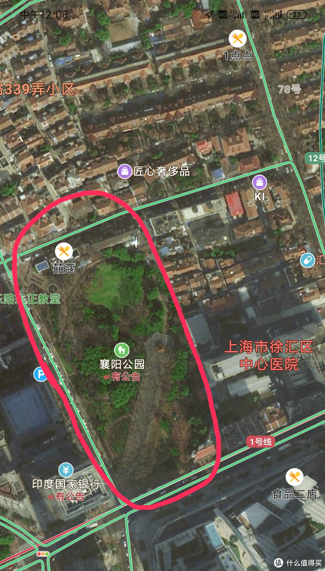 淮海路陕西南路交界襄阳公园（原法租界法国人设计的园林）没有围栏自由漫步