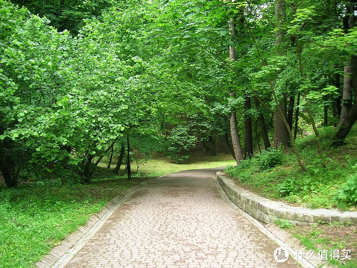 淮海路陕西南路交界襄阳公园（原法租界法国人设计的园林）没有围栏自由漫步