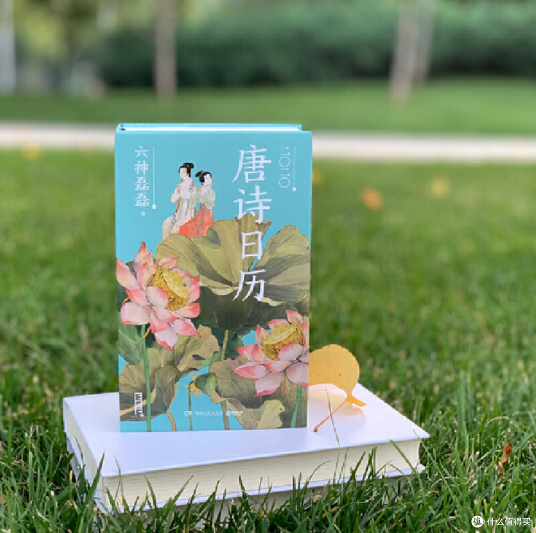 2020年37款日历大合集,自用送人两相宜,明年到底要撕谁?