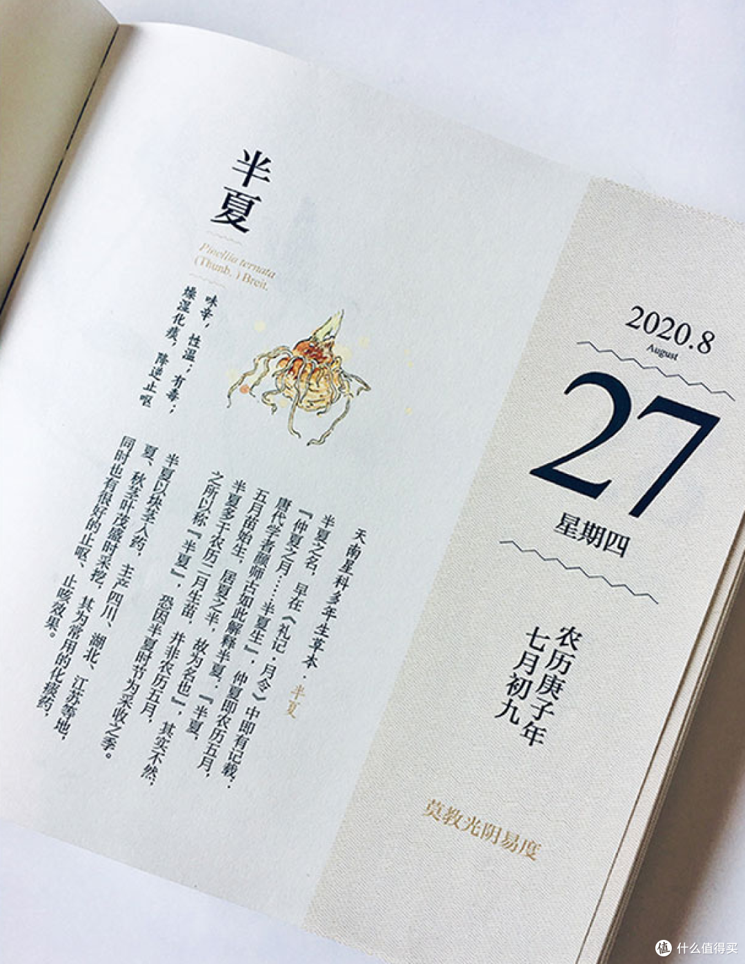 2020年37款日历大合集,自用送人两相宜,明年到底要撕谁?