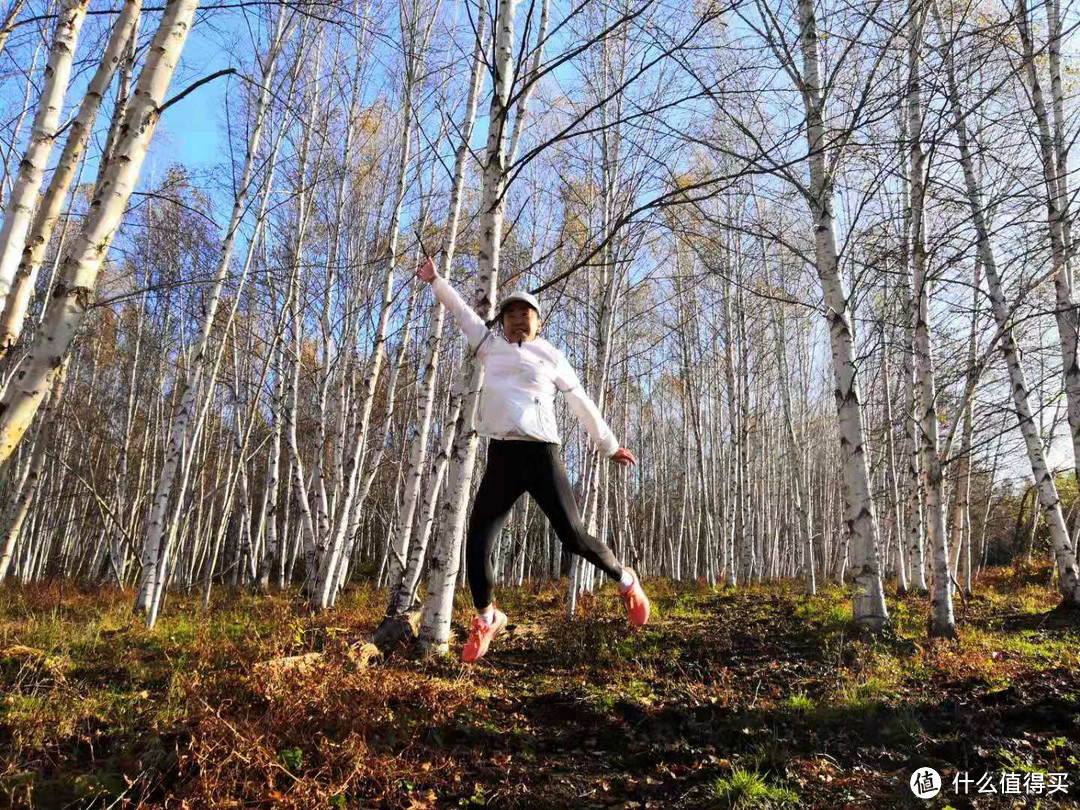 十一周边游--小黄山看五花山