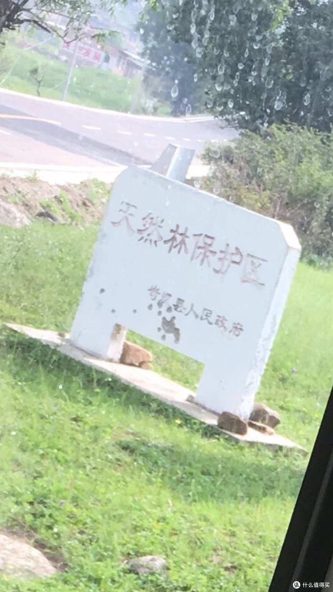 芦芽山之行(多图)
