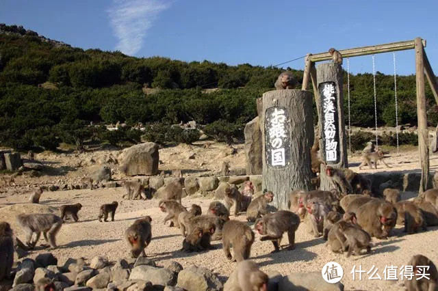 小豆岛 | 这也许是濑户内海中最值得刷的海岛了