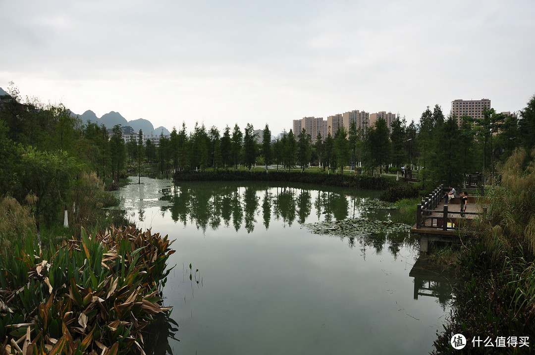 市区里面的一个湿地公园，真心太美了