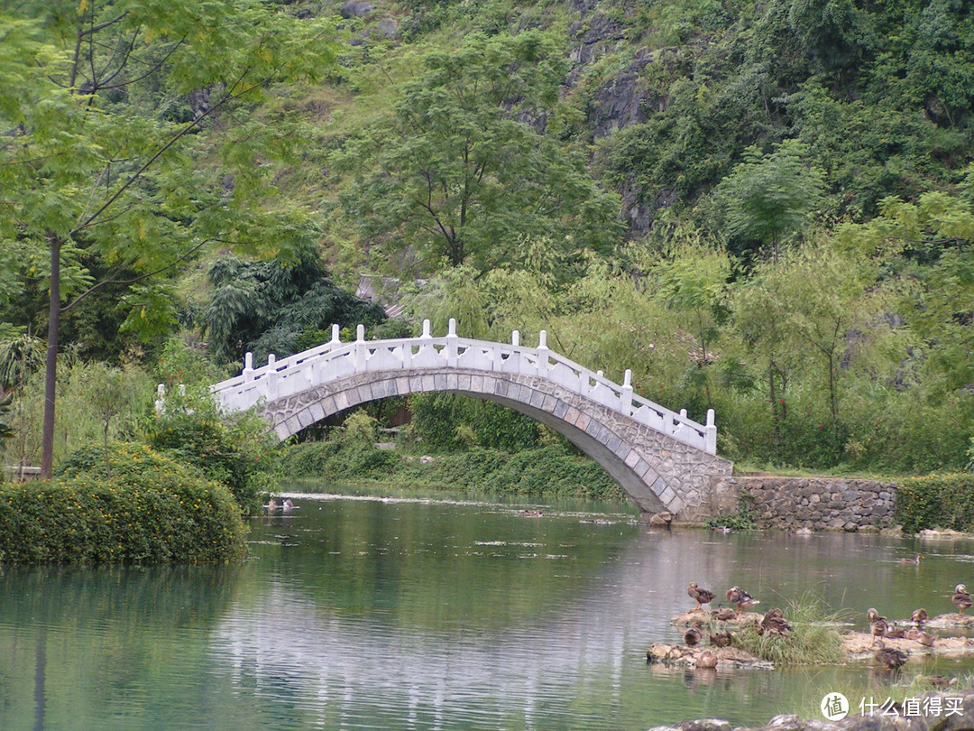 鹅泉里面鸭子比鹅要多，景区大体没有多少变化，就是面积变大了