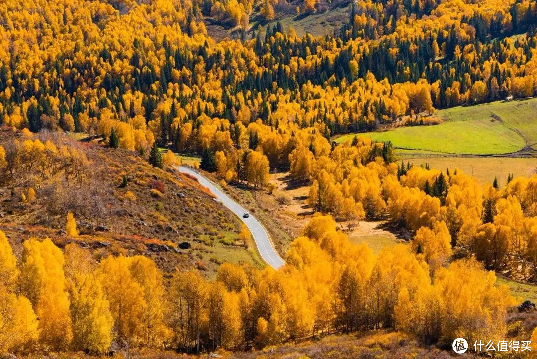 千万别和新疆的秋天比美、简直让人受不了