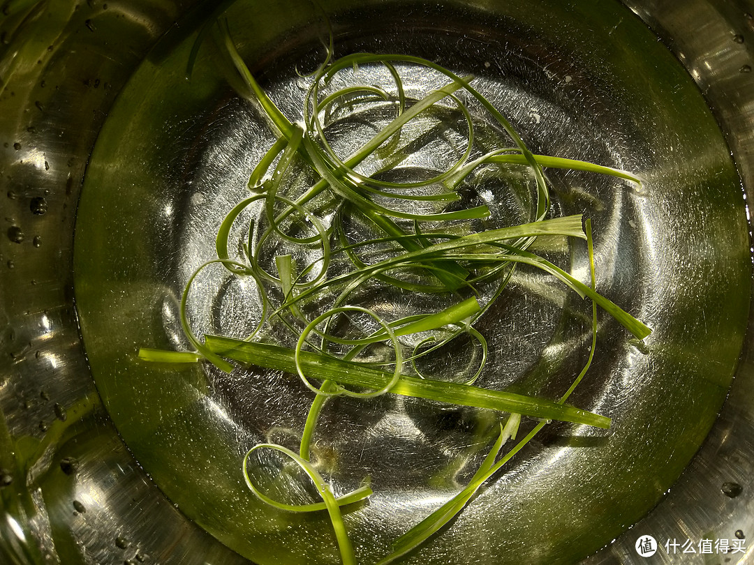蒸烤箱推荐,自家体验实测,专业蒸的蒸烤箱烤箱才适合国内使用