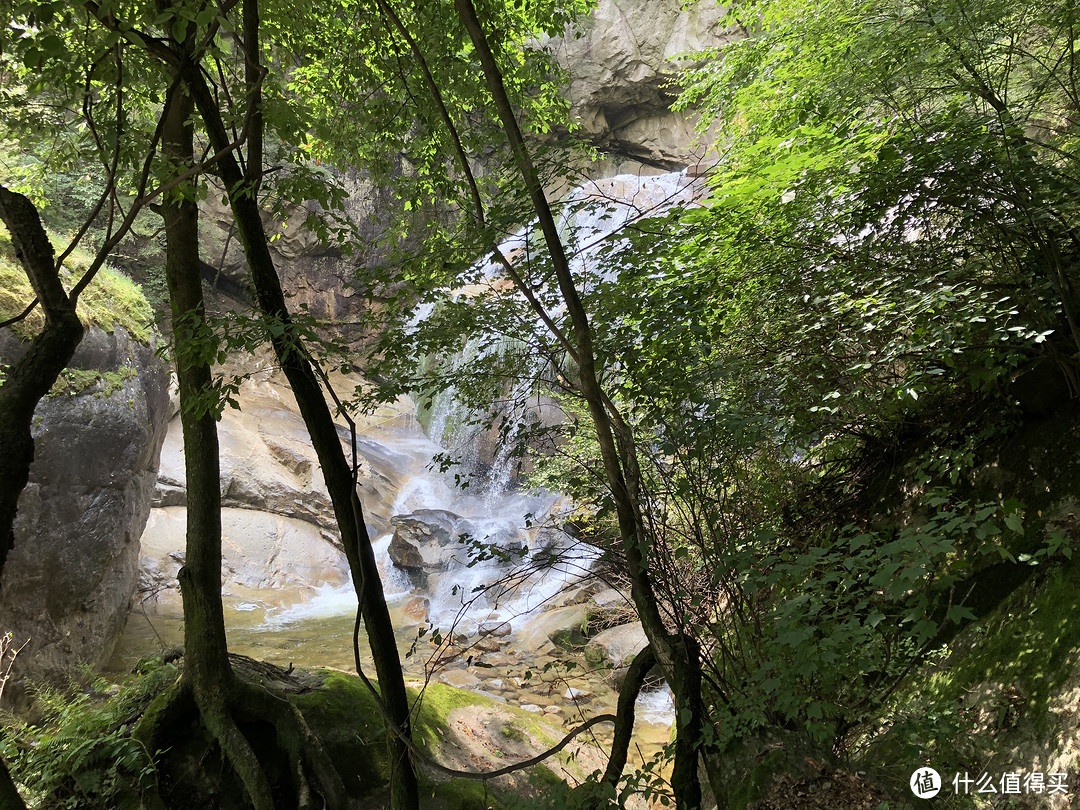 透过枝翘观溪水