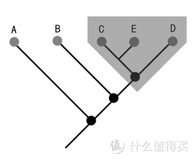 古生物学者写下的《怪物猎人：冰原》猎人笔记