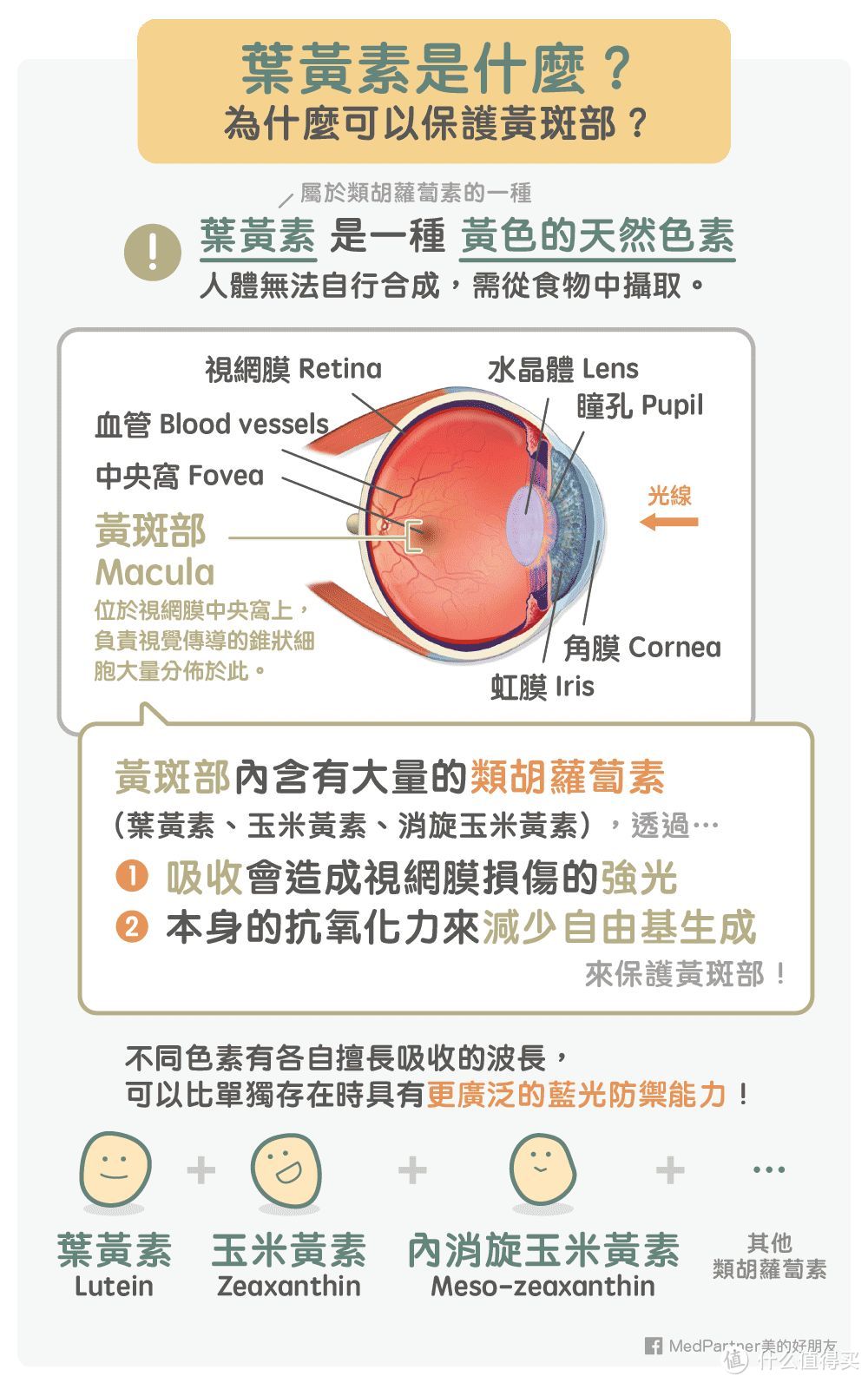 五颜六色的蔬菜除了减肥还能抗氧化？这些色素是什么？每天该吃多少？