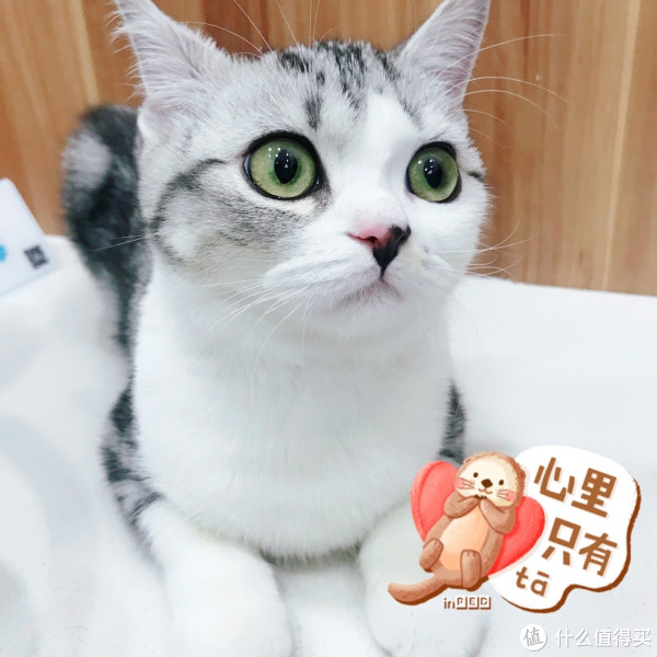 现在的我是个大美妞～