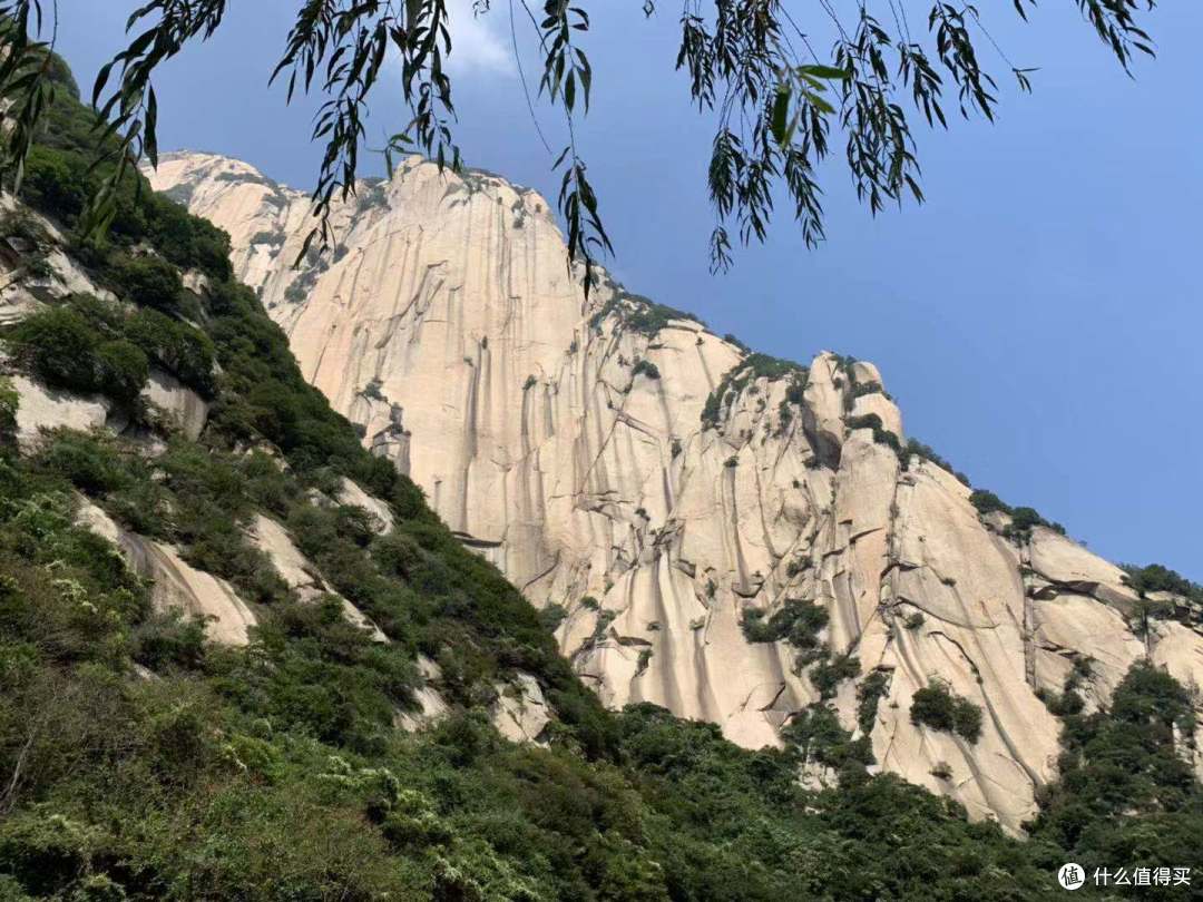 抓拍