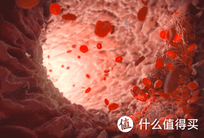 运动受伤后的紧急处理,这样做才能避免恶化更快恢复!