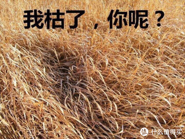 床垫塌了!什么时候该更换新的床垫?